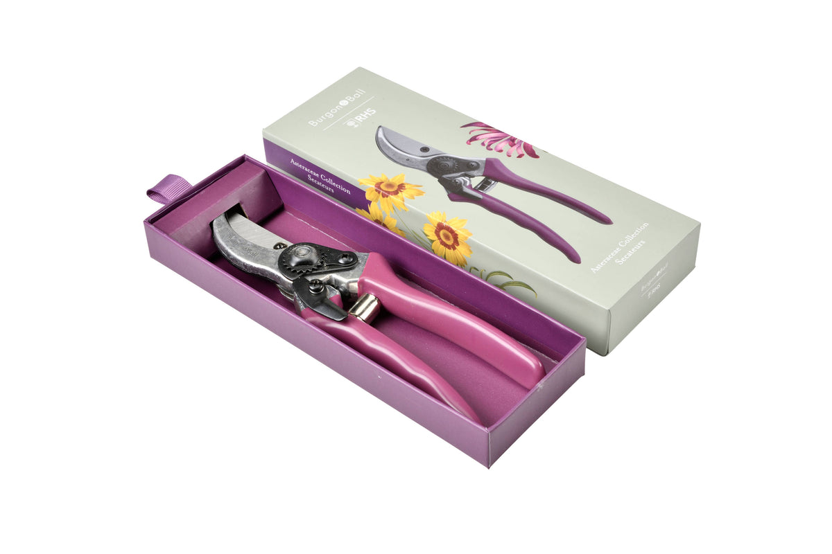 Aster Secateurs