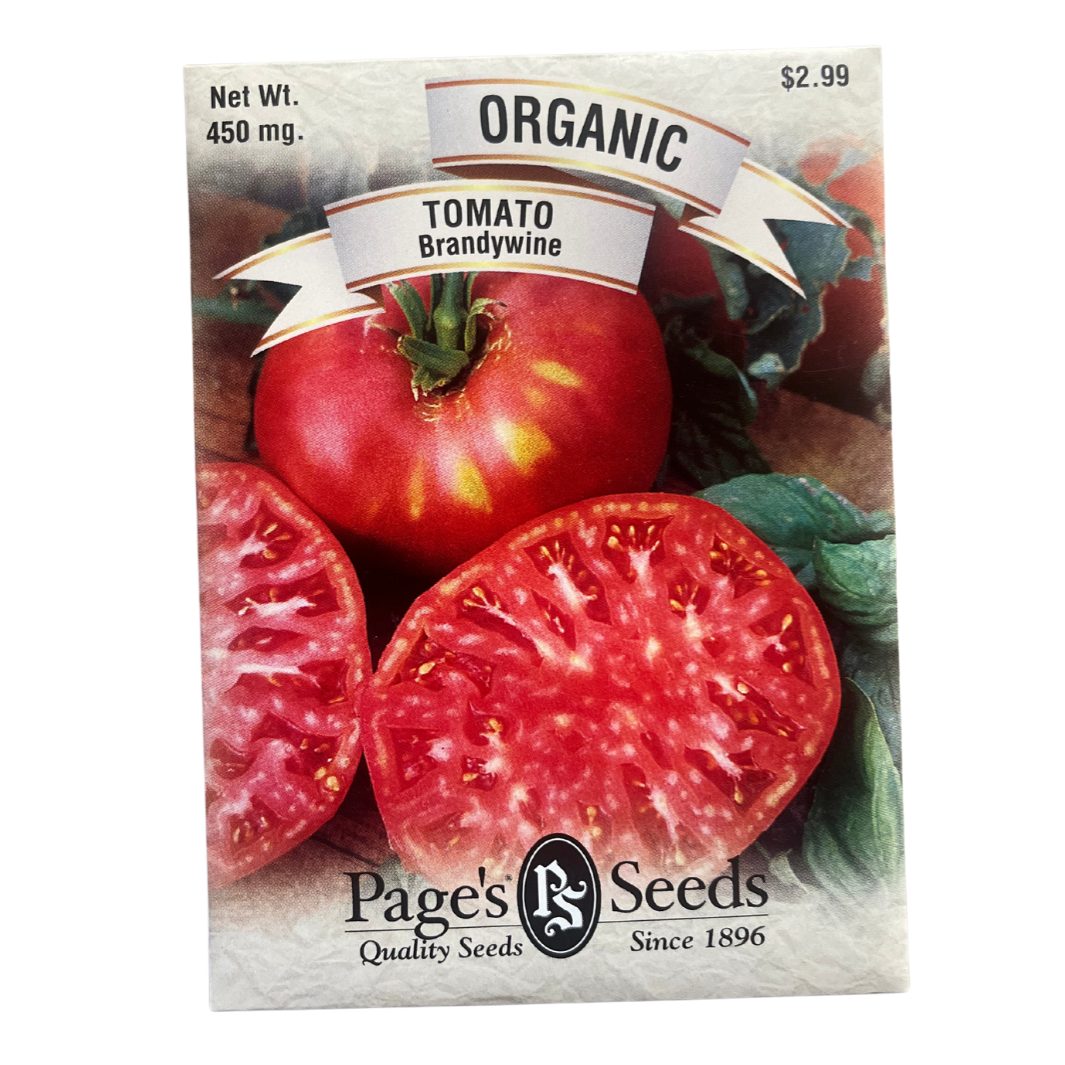 Organic Tomato - Brandywine Seeds