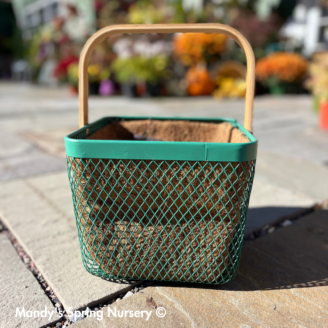 Square Planter w/ Bamboo Handle & Liner