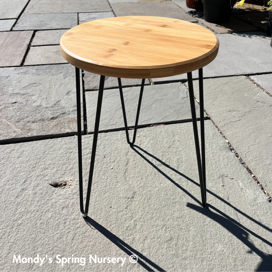 Mid Century Plant Stand