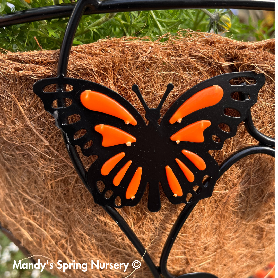 Monarch Butterfly Hanging Basket