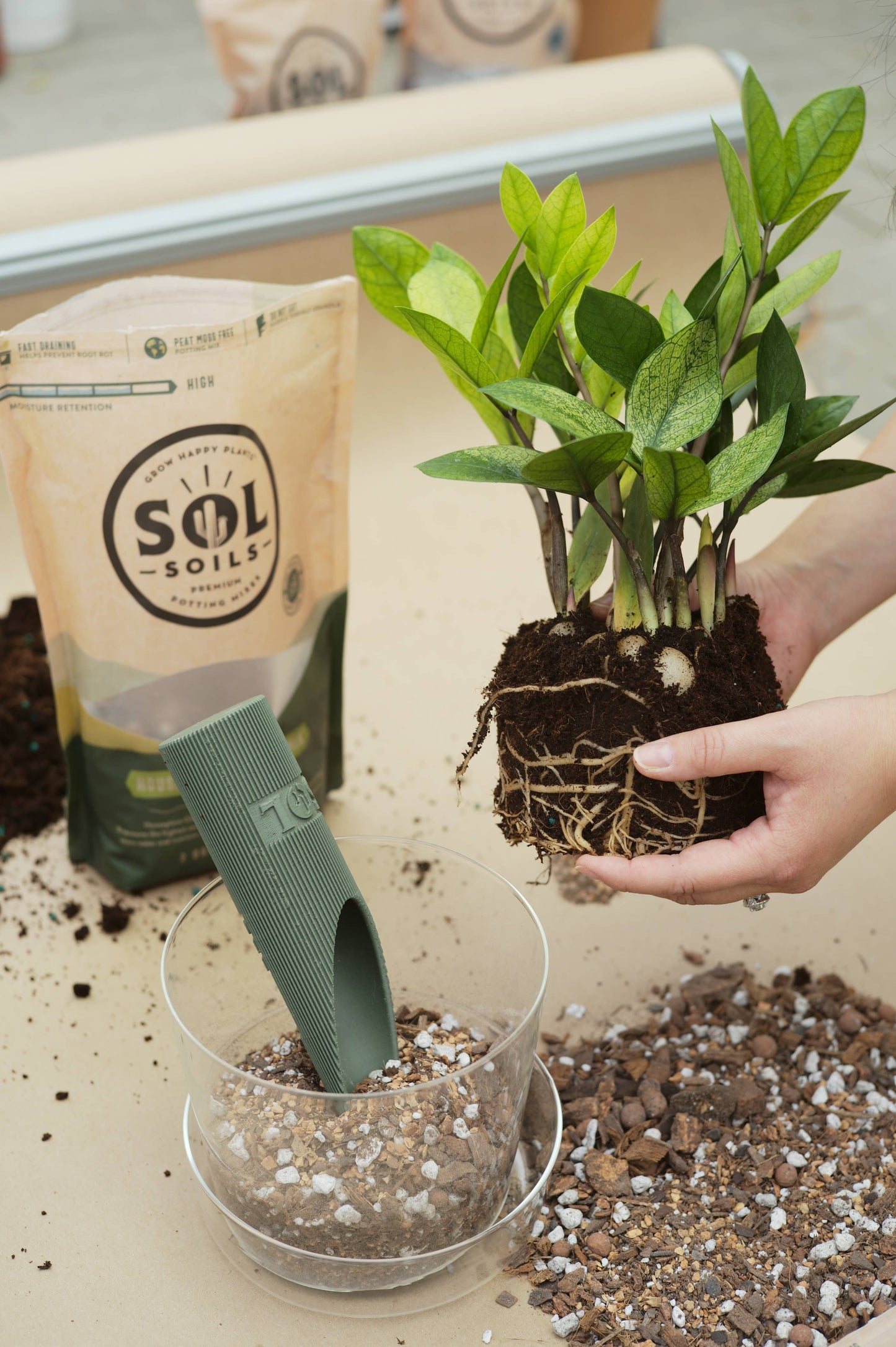 Soil (2Qt) Houseplant Chunky Mix (Aroid/Tropical Soilless)