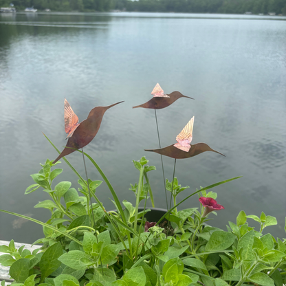 Medium Natural Copper Hummingbirds