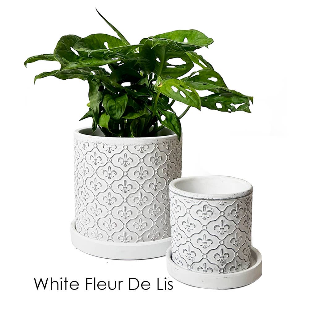 Balter Succulent Containers Cactus Pot And Saucer