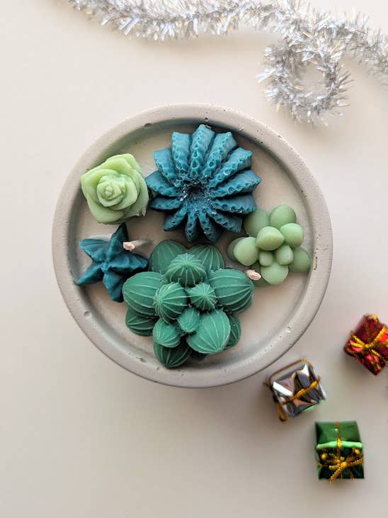 Christmas Succulent Candle - Holiday Nordic Pine & Wassail