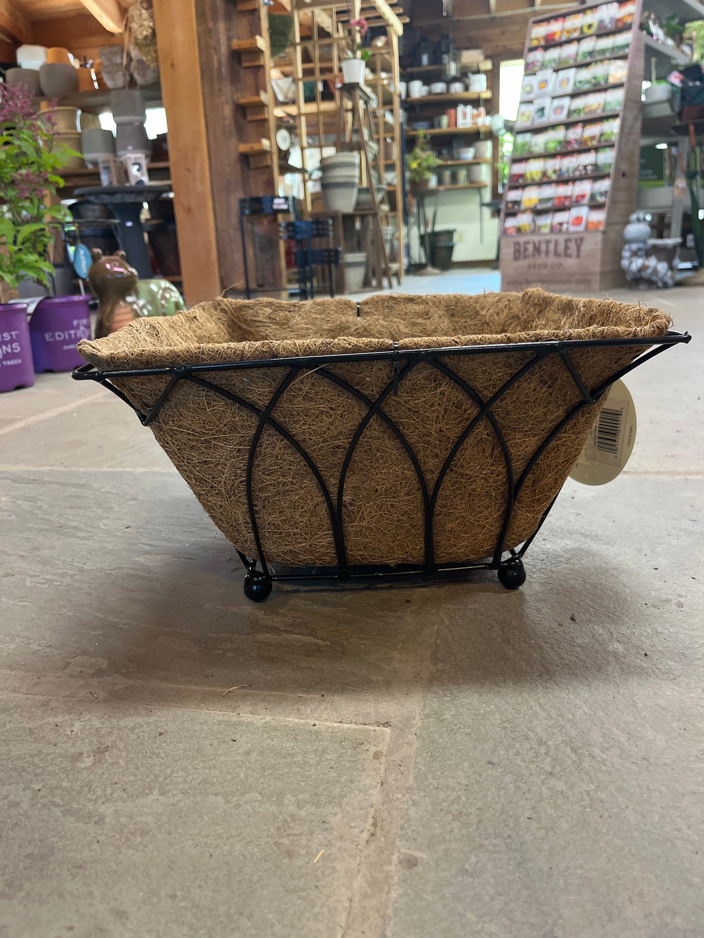 Austram Lotus Floor Planter - Black