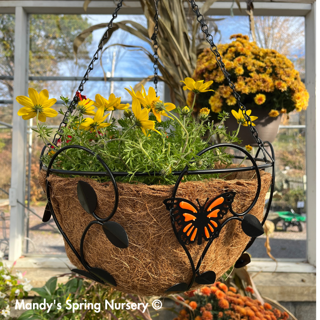 Monarch Butterfly Hanging Basket