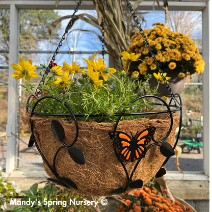 Monarch Butterfly Hanging Basket