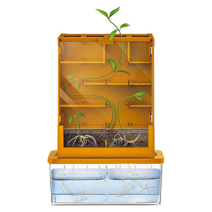 Green Science/Grow-A-Maze