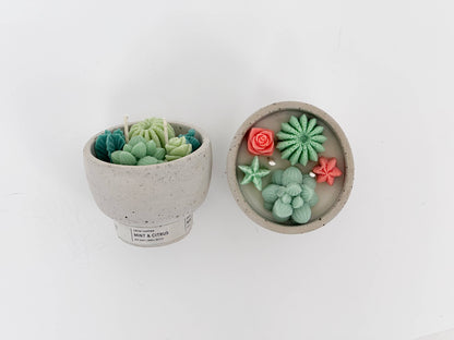 Succulent Candle - Concrete Plant Candle