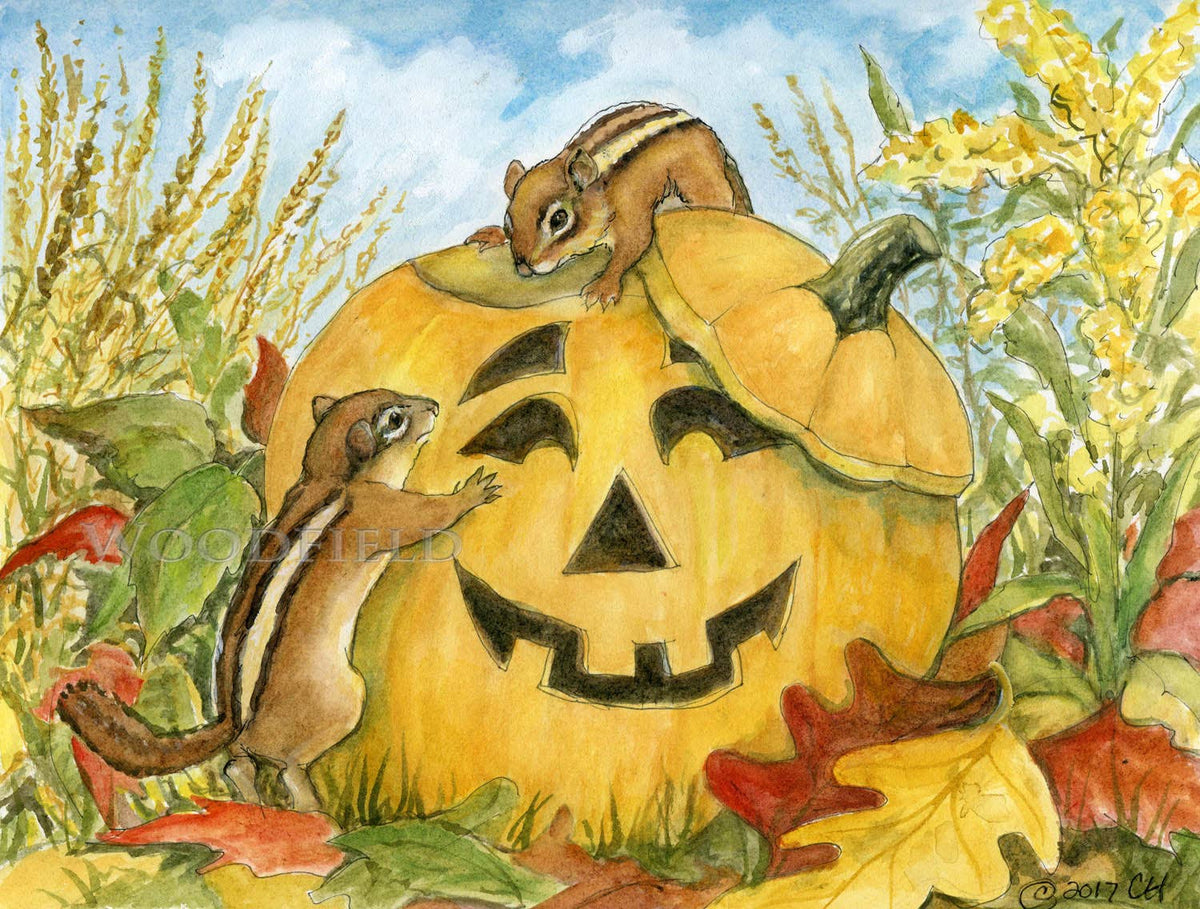 #324 Pumpkin Seeds Notecard