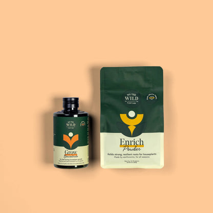 Plant Food Kit