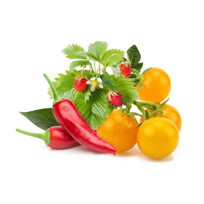 Fruit and Veggie Mix 9-pack