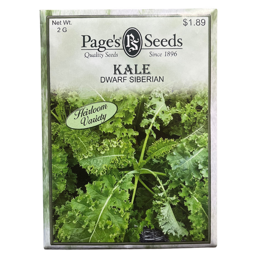 Kale - Dwarf Siberian Seeds