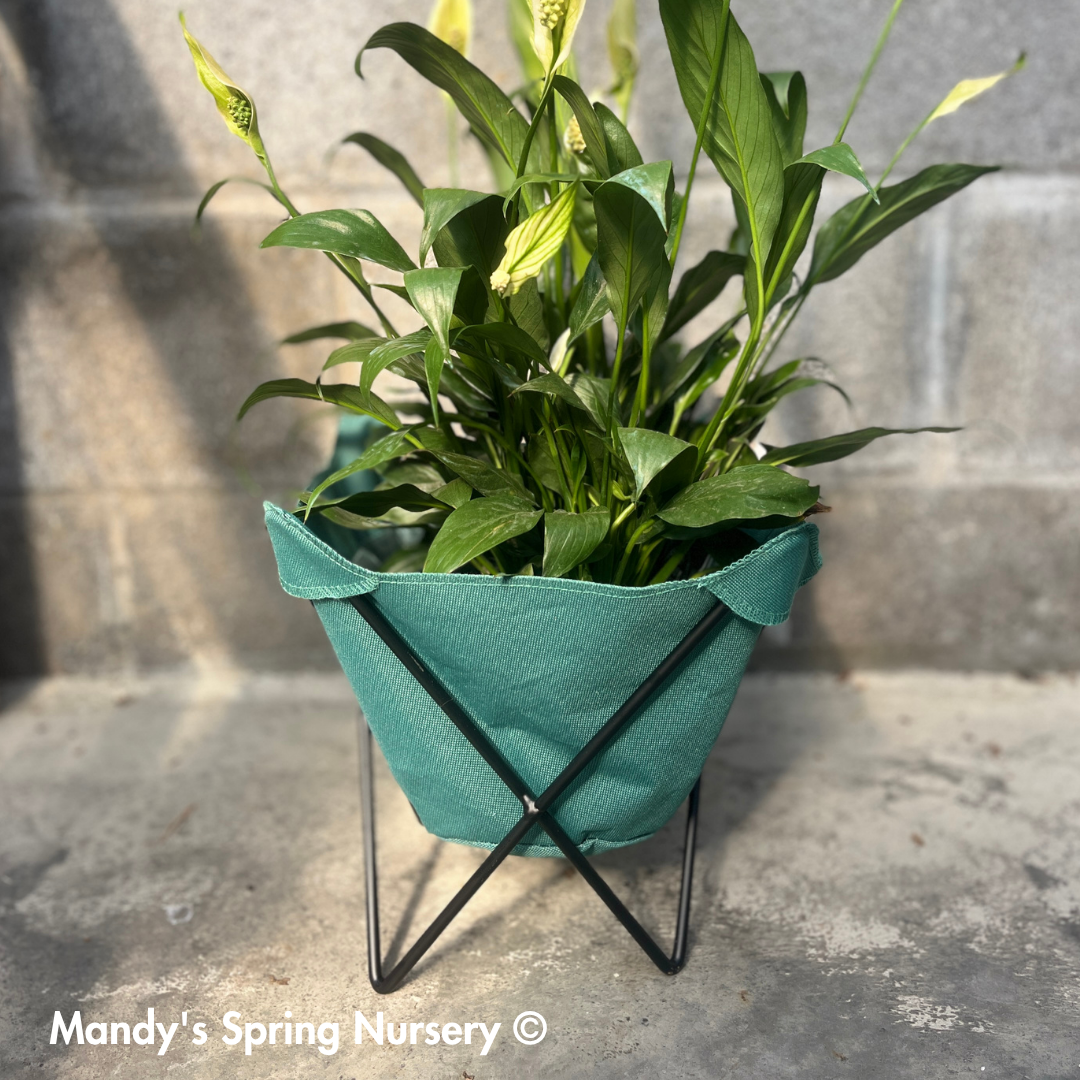 Butterfly Sling Planter