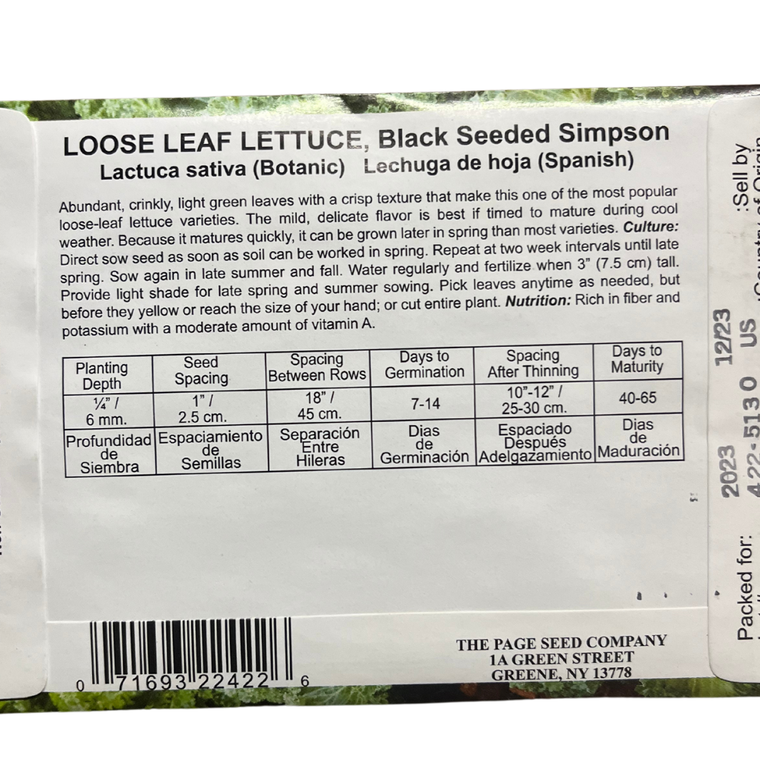 Lettuce , Black Seeded Simpson