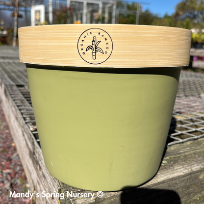Bamboo Flower Pot