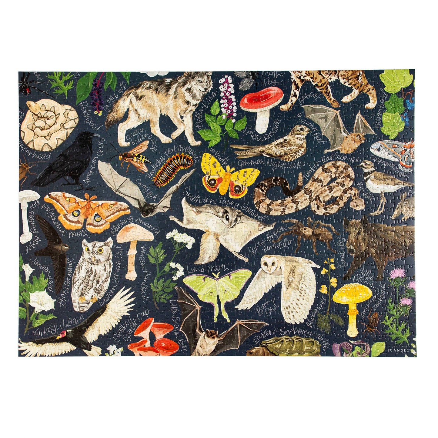 Midnight Flora & Fauna - 1000 Piece Jigsaw Puzzle