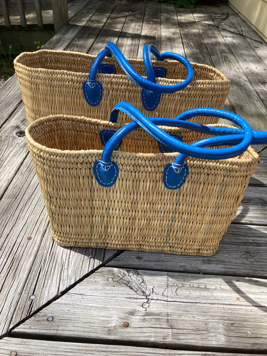 Water Reed with Light Blue Handles