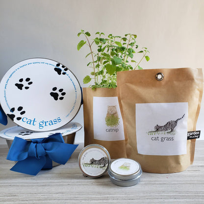 Garden Sprinkles Cat Grass | Organic Fall & Holiday Treat