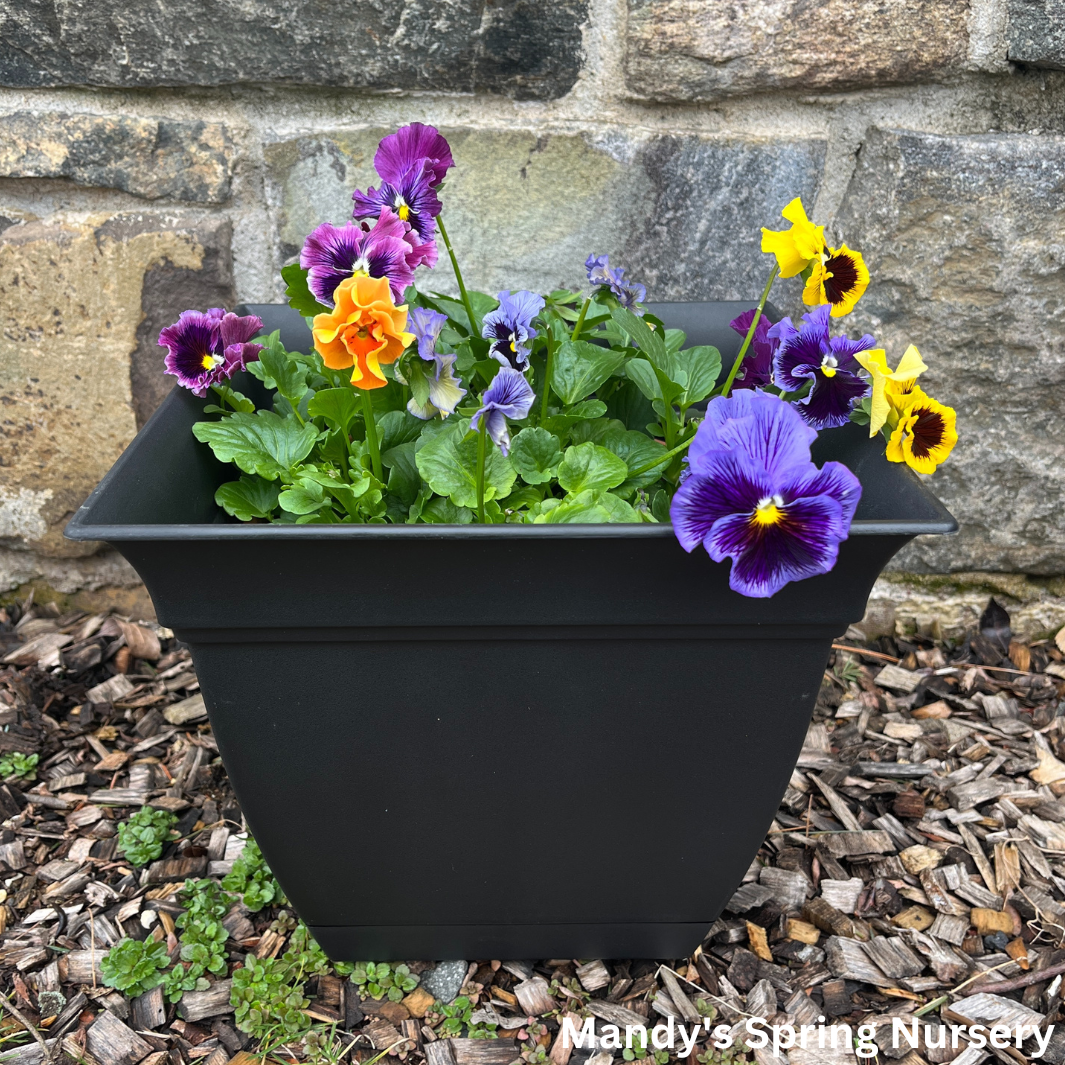 ‘Eclipse' Square Black Planter