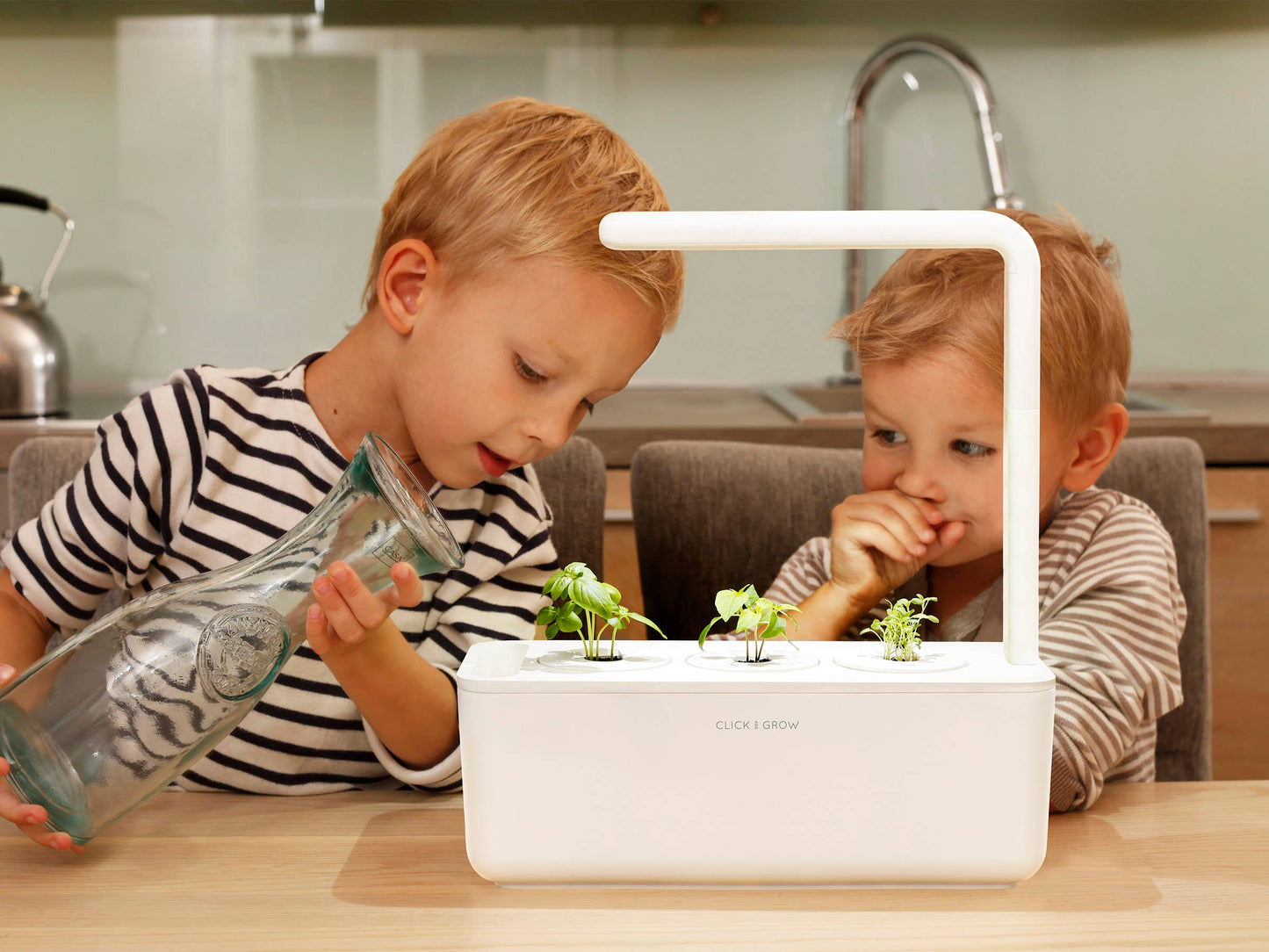 The Smart Garden 3