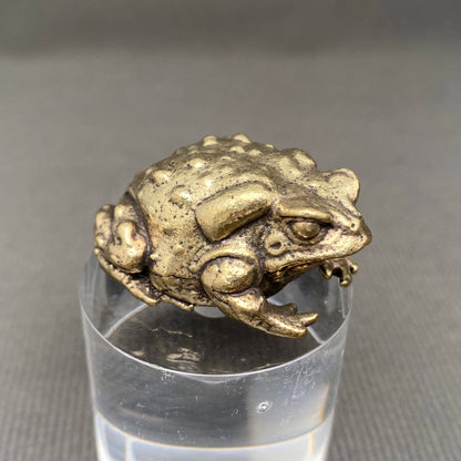 Brass Toad Crafts Decoration Desktop Ornaments