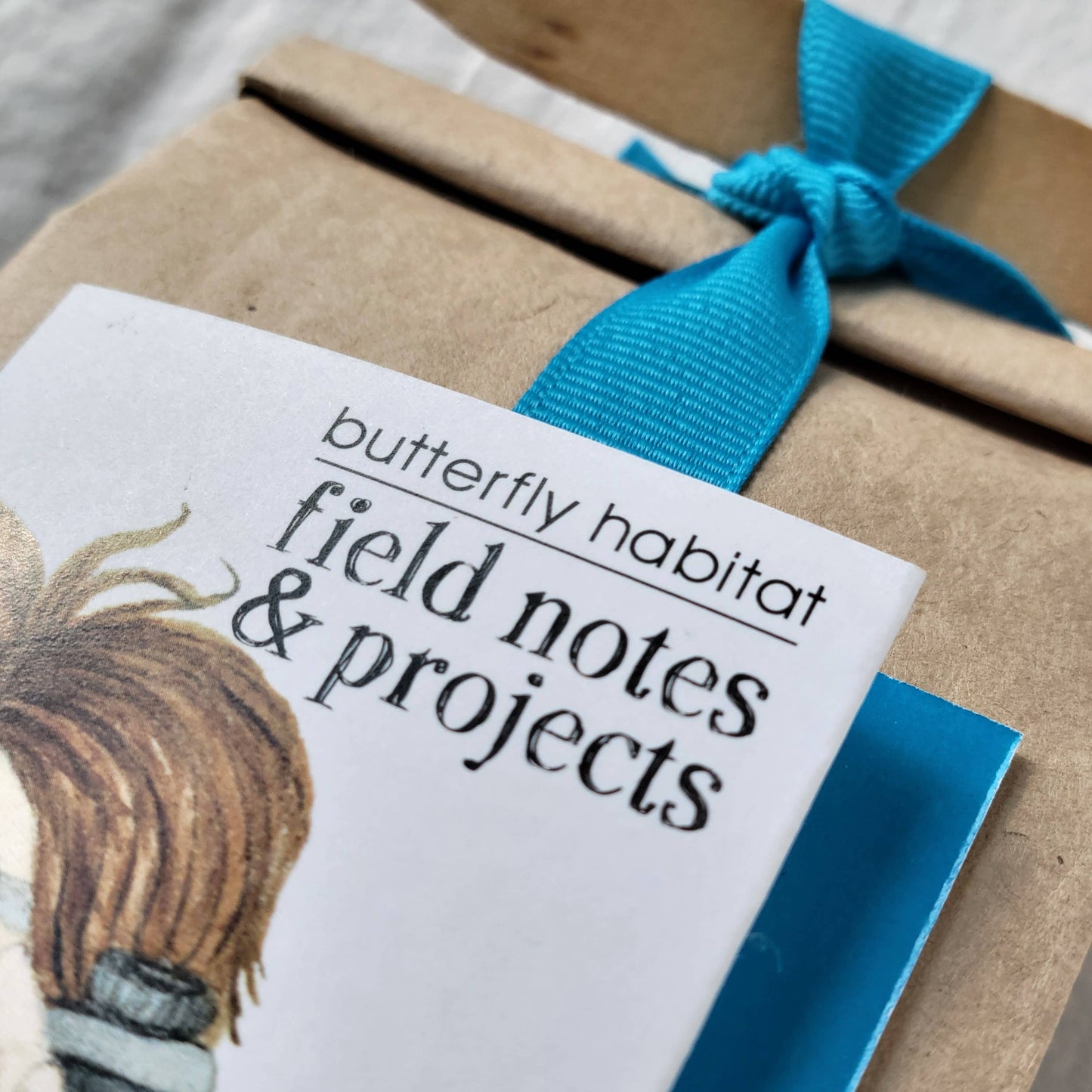 Kids Scatter Garden | Building Butterfly Habitat | Learning