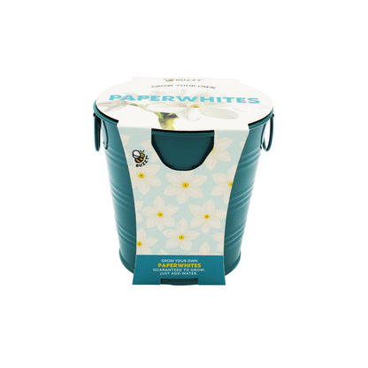 Holiday Paperwhite Bulb Grow Pail | Winter Flower Gift Kit