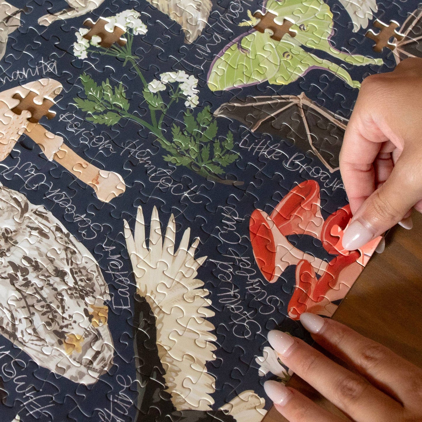 Midnight Flora & Fauna - 1000 Piece Jigsaw Puzzle