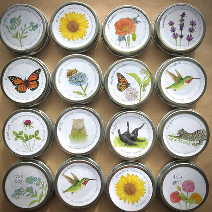 Garden Sprinkles | Monarch Butterfly Flower Garden | Spring