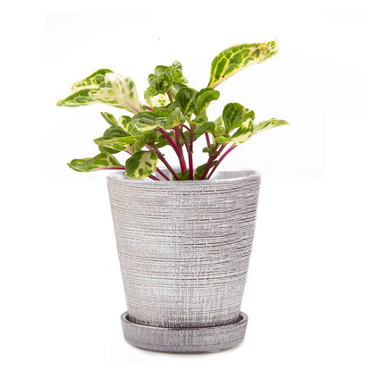 Mick Planter Pots With Drainage Holes Bulk SALE SALE