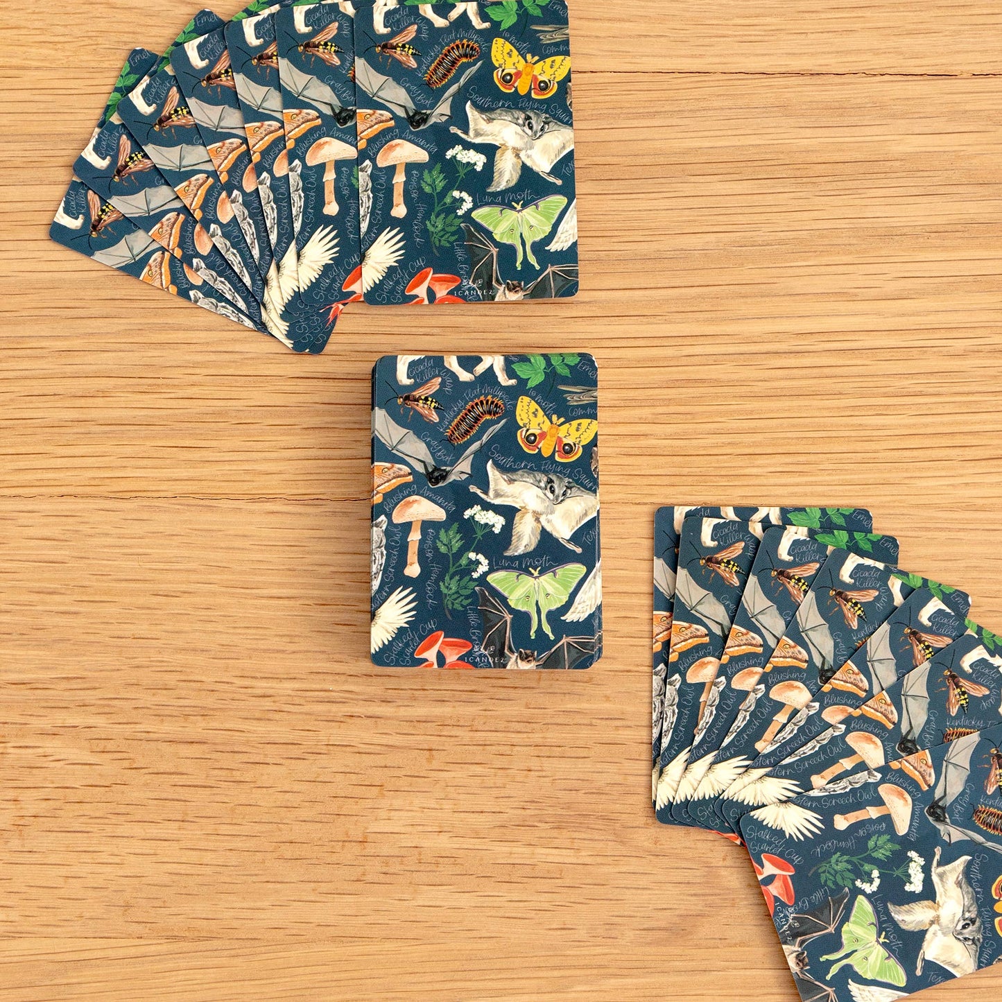 Midnight Flora & Fauna Deck of Playing Card