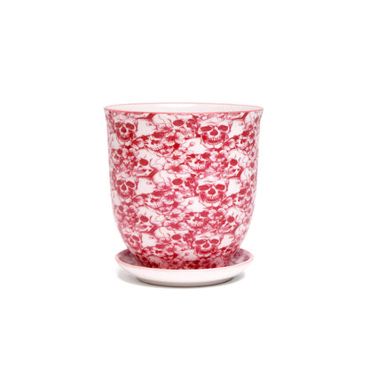 Liberte  Indoor plant pots with drainage 3 & 5 inch planter