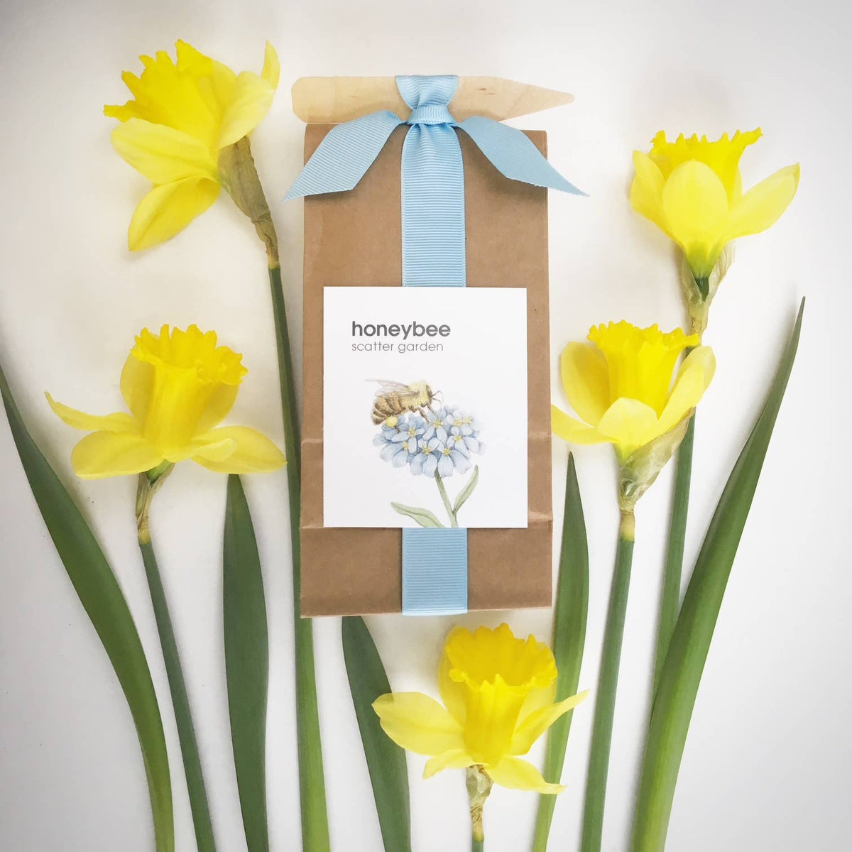 Scatter Garden | Honeybee | Pollinator Garden