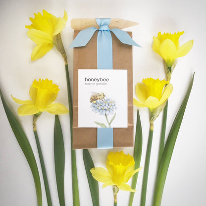 Scatter Garden | Honeybee | Pollinator Garden