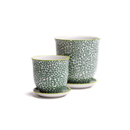 Liberte  Indoor plant pots with drainage 3 & 5 inch planter