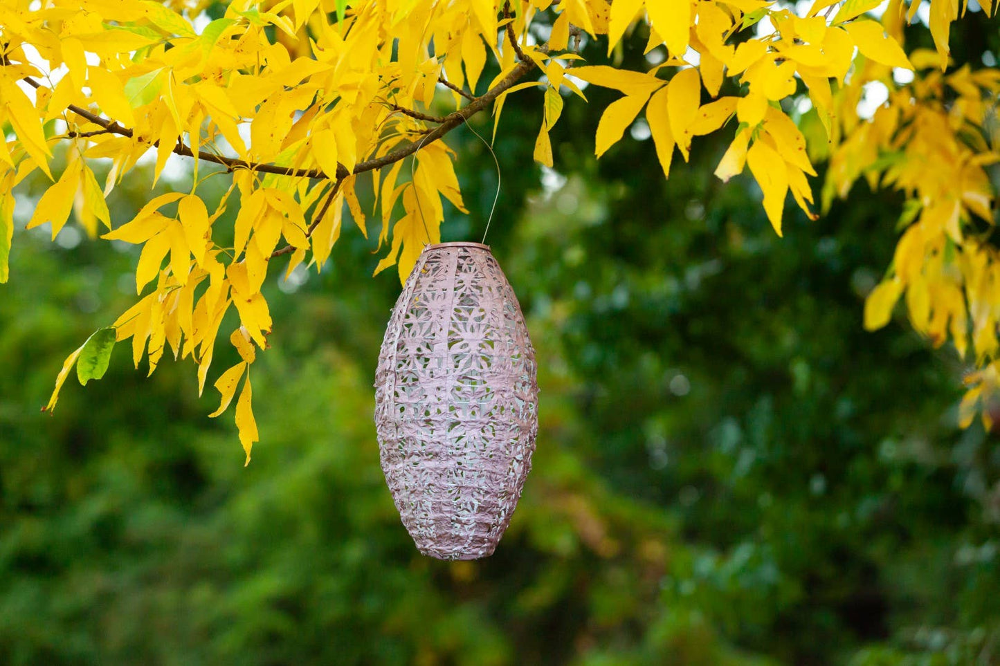Stella Wildflower Pod Solar Lantern - Blush