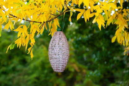 Stella Wildflower Pod Solar Lantern - Blush