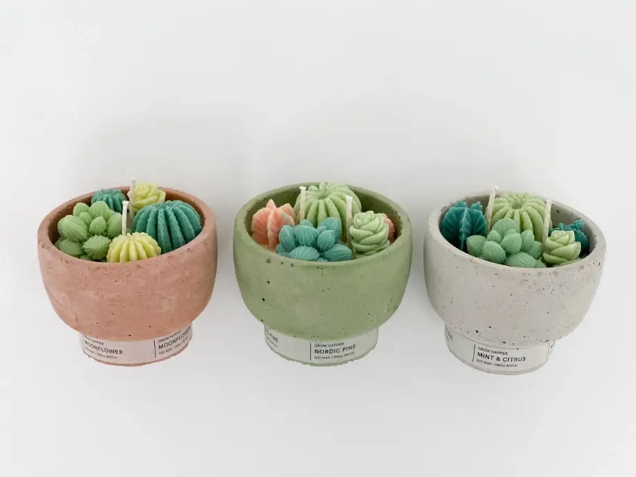 Christmas Succulent Candle - Holiday Nordic Pine & Wassail