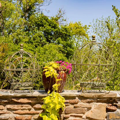 Iron Globe Plant Stands