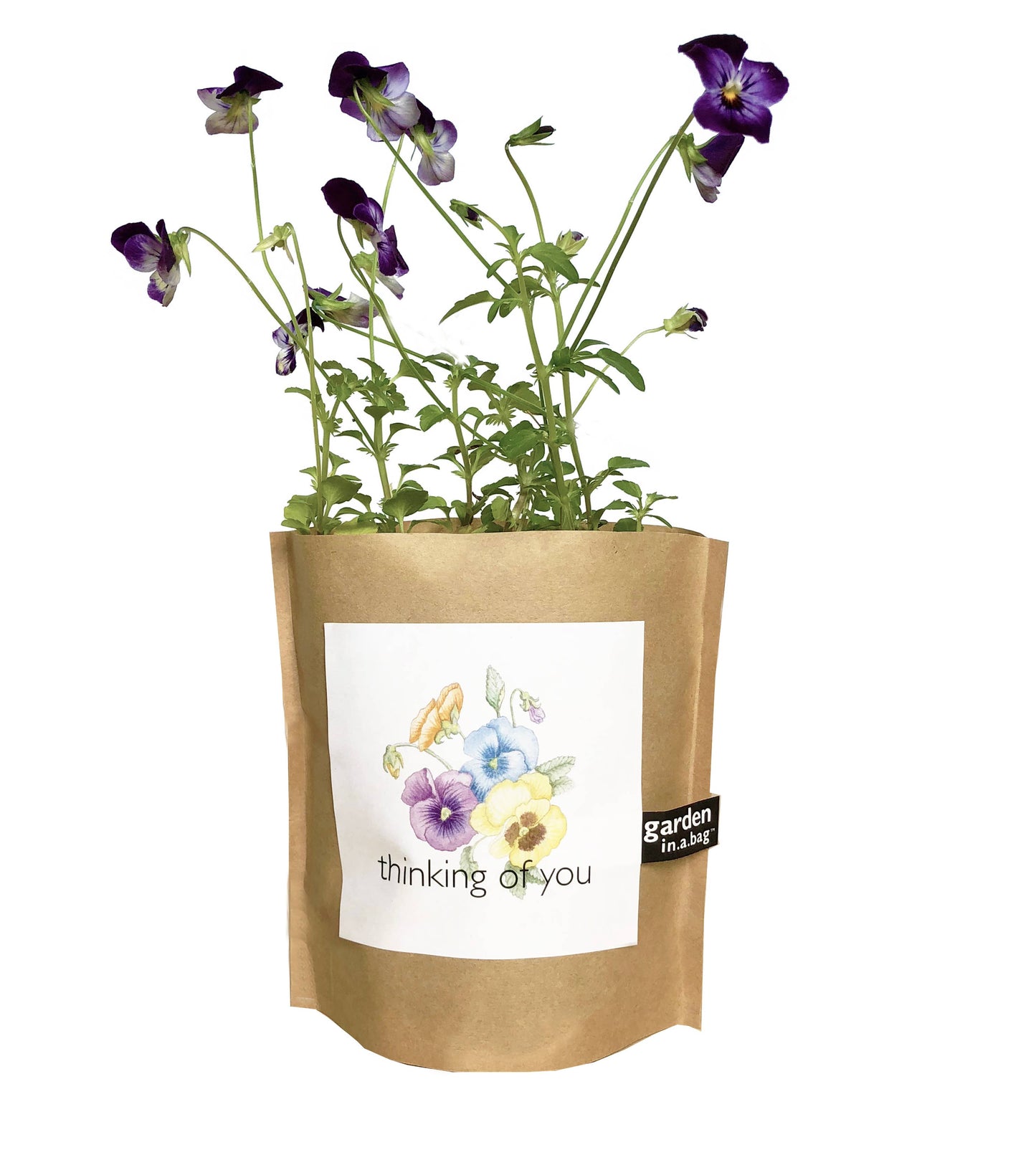 Garden in a Bag Thinking Of You | Best Seller | Care Gift