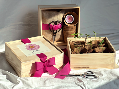 Flower Cutting Garden Box - Mixed Zinnia
