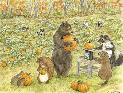 #360 - Pumpkin Patch Notecard