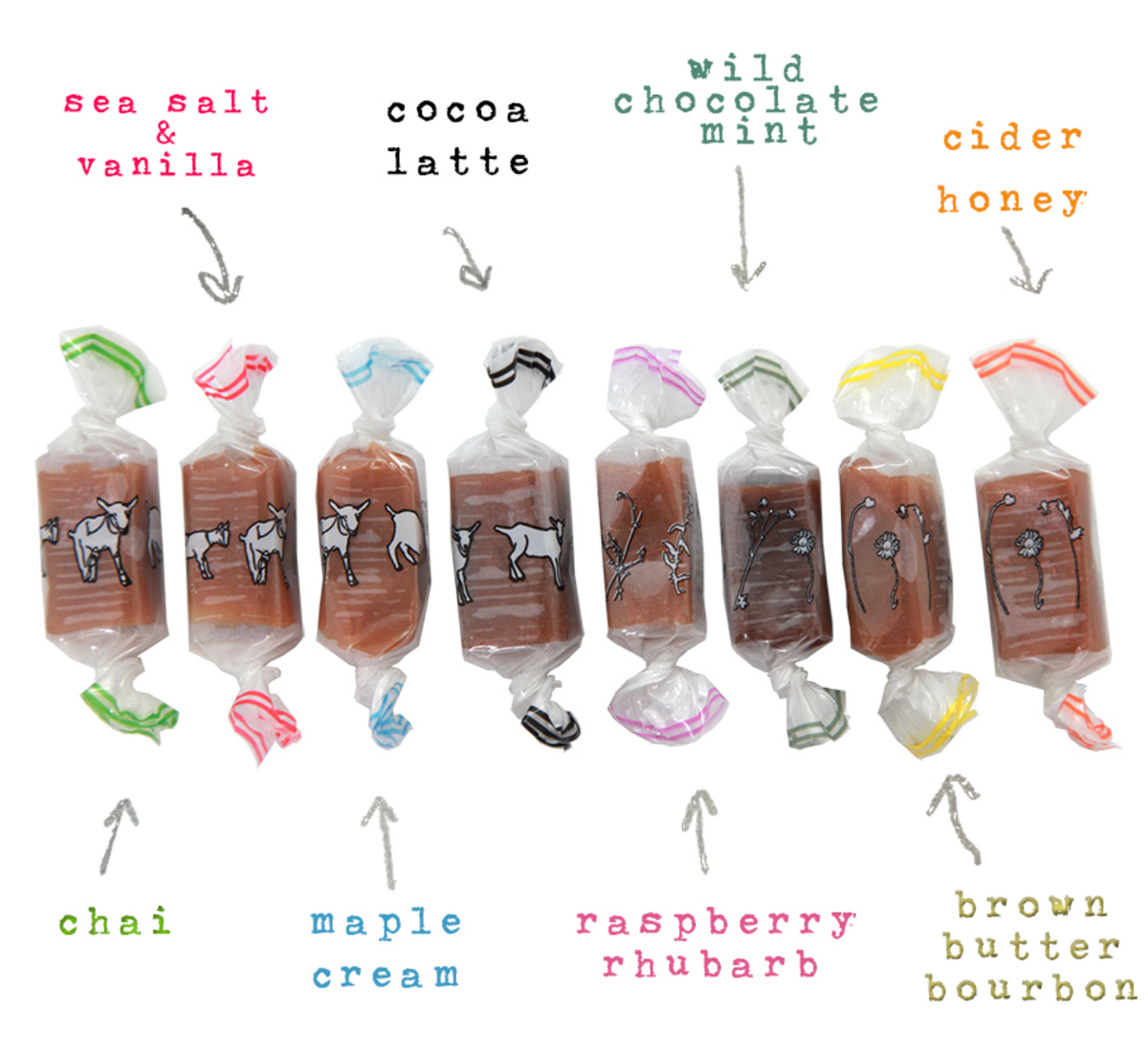 Fall Foliage Caramel Box | Vermont | 8 Flavors 