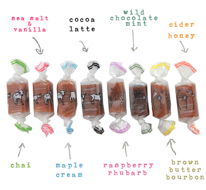 Fall Foliage Caramel Box | Vermont | 8 Flavors 