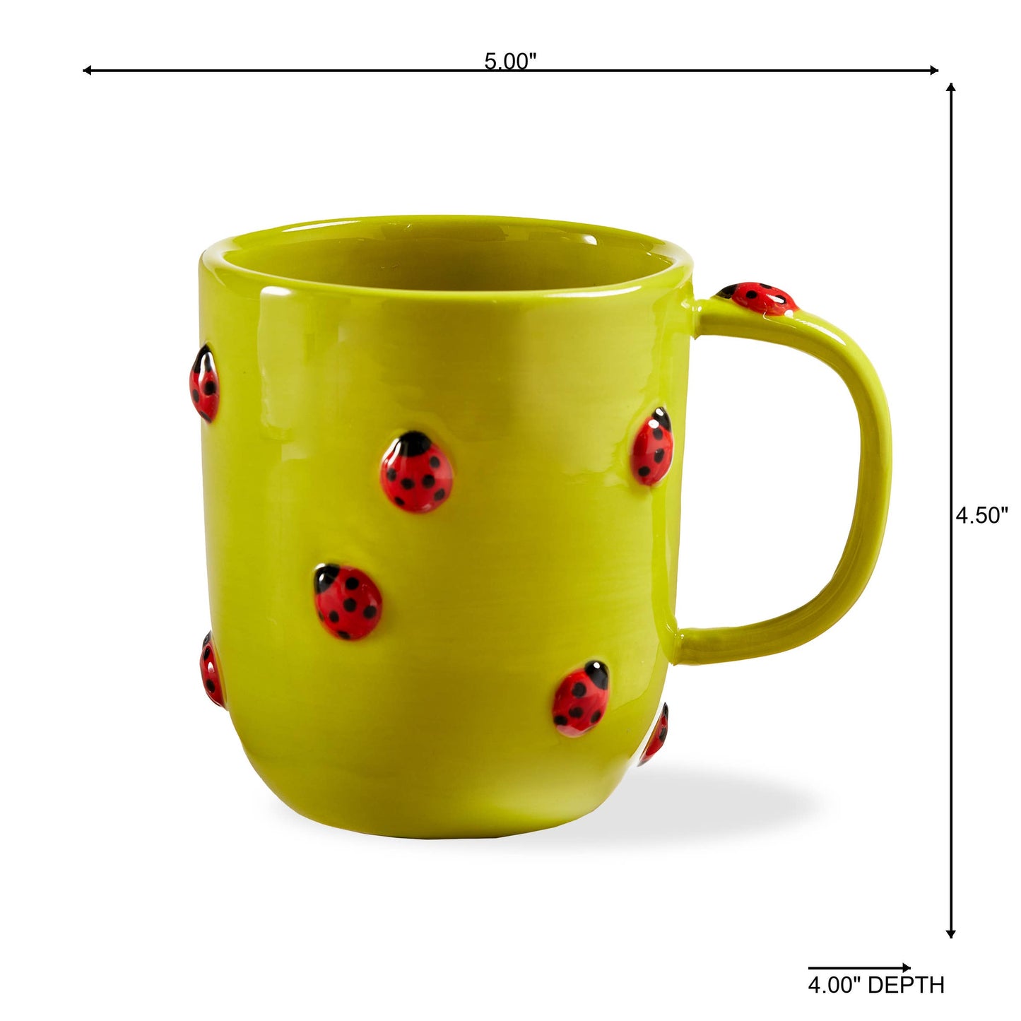 Garden Ladybug Mug Green Multi Earthenware Spring