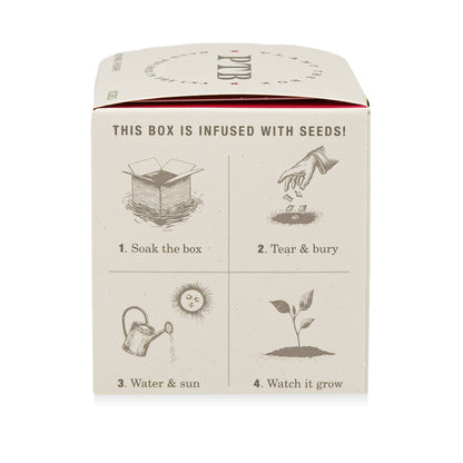 Backyard Rhubarb - Plant the Box Candle - 9oz.