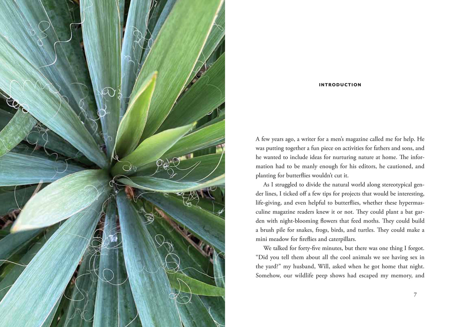 Wildscape