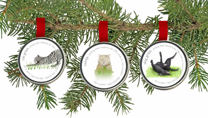 Garden Sprinkles Catnip | Organic Fall & Holiday Cat Treat
